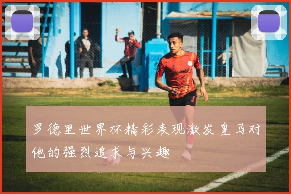 罗德里世界杯精彩表现激发皇马对他的强烈追求与兴趣